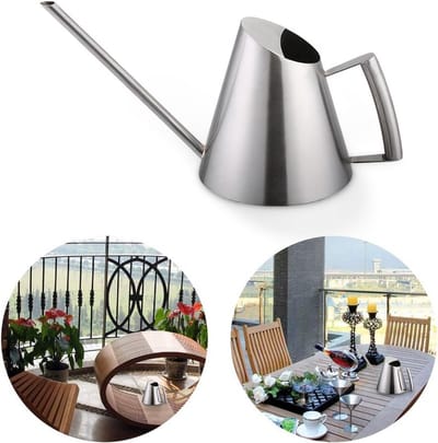 Mini Roestvrijstalen Gieter 400ml met Lange Uitloop - Perfect voor Bloemen en Planten