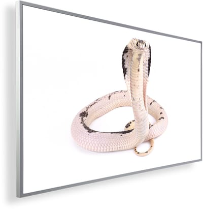 Infrarood Verwarmingspaneel 600W met fotomotief en Smart Thermostaat (5 jaar Garantie) - Cobra wit 85