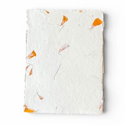 set van 20x A5 kaart Tree Free katoenpapier met goudsbloemen met bijpassende enveloppen