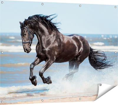 Gards Tuinposter Zwart Paard in het Water - 120x90 cm - Tuindoek - Tuindecoratie - Wanddecoratie buiten - Tuinschilderij