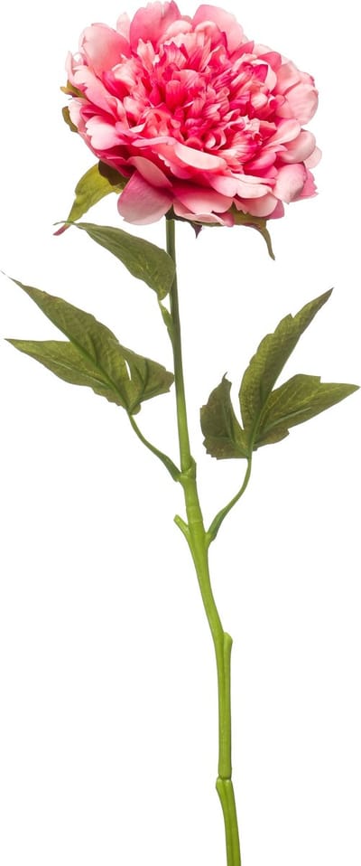 Emerald - Kunstbloem Pioenroos RT 56cm zachtroze - Kunstplant voor binnen