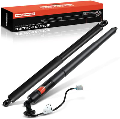 Frankberg 1x Gasveer+1x Gasveer Elektrisch voor Ford Mondeo V