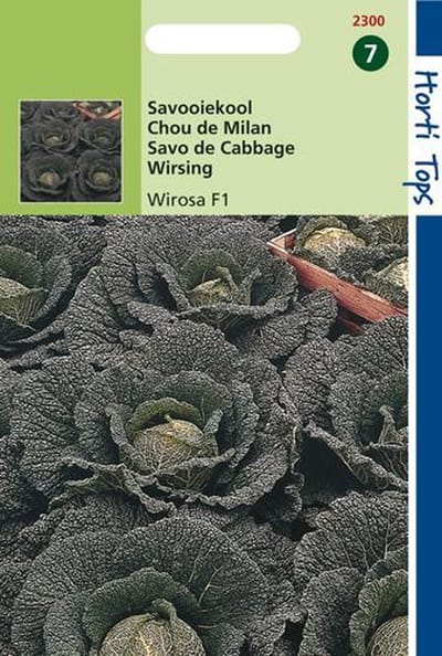 Hortitops Zaden - Savooiekool Wirosa F1-Hybride