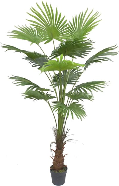 Kunst palmboom | waaierblad | 175cm - Kunst Waaierblad Palm - Vingerblad kunstplant