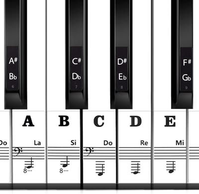 Universele Pianotoets Sticker Set voor Beginners - Geschikt voor 37 t/m 88 toetsen