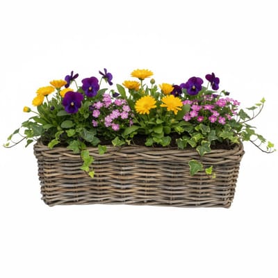 VD Leeden Plantenmand Klassiek - bruin - rechthoek - 60 x 23 x 20 cm - rotan - gevlochten riet