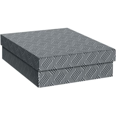 Leitz Opbergdoos VON Grijs 7 l (b x h x d) 265 x 205 x 365 mm 3 stuk(s)