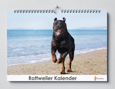 Rottweiler kalender 35x24 cm | Verjaardagskalender Rottweiler | Hondenras Rottweiler | Verjaardagskalender Volwassenen