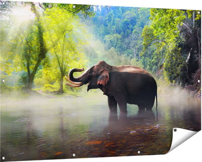 Gards Tuinposter Olifant in het Water - 150x100 cm - Tuindoek - Tuindecoratie - Wanddecoratie buiten - Tuinschilderij