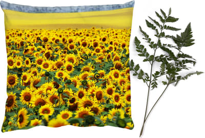 Sierkussens - Kussentjes Woonkamer - 45x45 cm - Zonnebloem - Bloemen - Natuur