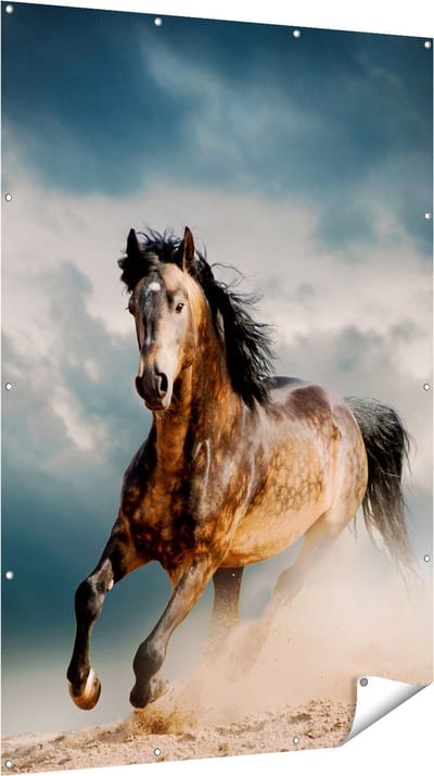 Gards Tuinposter Wilde Paard in het Zand - 120x180 cm - Tuindoek - Tuindecoratie - Wanddecoratie buiten - Tuinschilderij