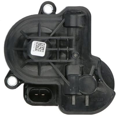 Remklauw motor AUTOFREN SEINSA DEPB002