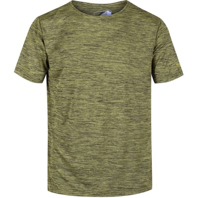 Regatta Heren Fingal Editie T-Shirt (Donker Tang Marl)