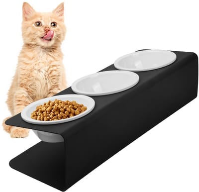 Verhoogde kat voerbak met metalen standaard - 3 stuks keramische kattenbakken - 15° helling voor puppy's - Homevero