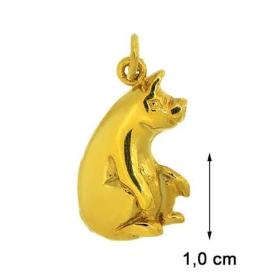 Blinx Jewels Vergulden Hanger Varken