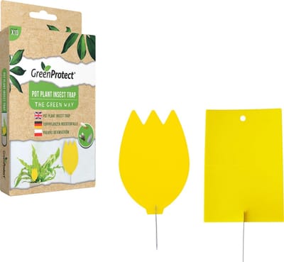 Green Protect Pot Plant Insect Trap - Vallen voor potgrond vliegjes - Val om vliegende insecten bij planten te vangen