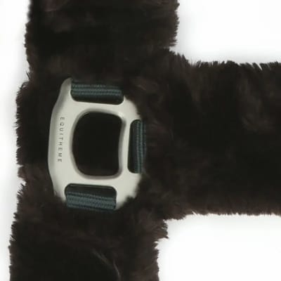 Halster voor paarden Equithème Teddy