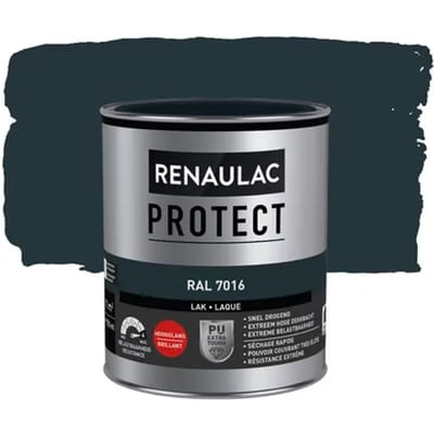 Renaulac Lak Protect Ral7016 Hoogglans 750ml