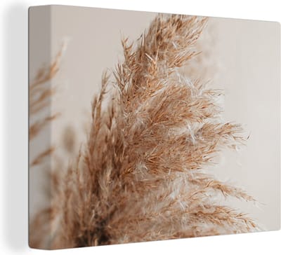 Canvas Schilderij Gras - Planten - Natuur - Pampasgras - 40x30 cm - Wanddecoratie