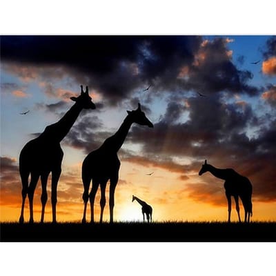 5D Diy Daimond schilderij kruissteek giraffen schaduw diamant borduurwerk 20X30CM gray