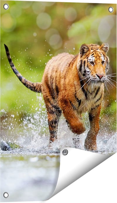 Gards Tuinposter Tijger Loopt in het Water - 40x60 cm - Tuindoek - Tuindecoratie - Wanddecoratie buiten - Tuinschilderij