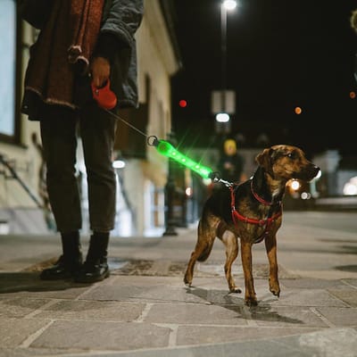 Oplaadbare Lichtgevende Halsband voor Honden - Waterdichte LED Halsband voor Veiligheid bij Nacht