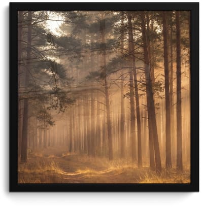 Poster in lijst - Fotolijst 40x40 cm - Posters - Bos - Mist - Zonlicht - Posterlijst zwart - Decoratie - Wanddecoratie woonkamer - Muurdecoratie slaapkamer