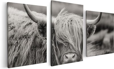 Artaza Canvas Schilderij Drieluik Schotse Hooglander Koe - Zwart Wit - 120x60 cm - Wanddecoratie Woonkamer - Schilderijen - Muurdecoratie