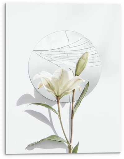 Acrylglas - Schildering van Bloem op Witte Achtergrond met Rondje - 30x40cm Foto op Acrylglas (Wanddecoratie op Acrylglas)