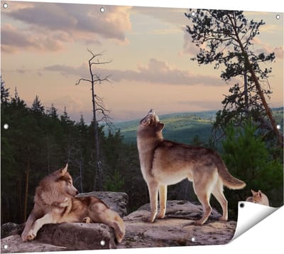 Gards Tuinposter Drie Wolven op een Rots in het Bos - 120x90 cm - Tuindoek - Tuindecoratie - Wanddecoratie buiten - Tuinschilderij