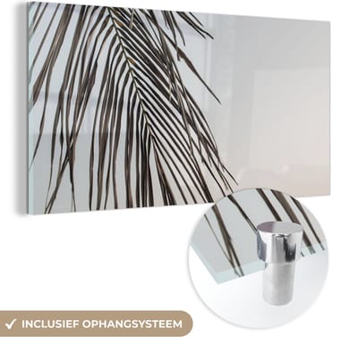 MuchoWow® Glasschilderij 120x60 cm - Schilderij acrylglas - Bladeren - Zomer - Palmblad - Tropisch - Foto op glas - Schilderijen
