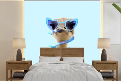 Fotobehang - Behang - Struisvogel - Zonnebril - Blauw - Dieren - Dieren behang - 240x240 cm - Fotobehang dieren