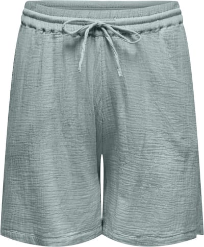 ONLY Carmakoma Shorts CARTHYRA High waist Regular fit Shorts