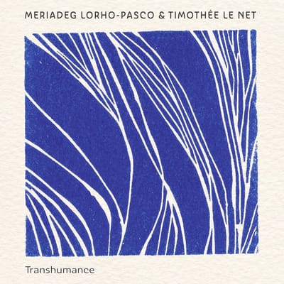 Meriadeg Lorho-Pasco & Timothée Le Net - Transhumance (CD)