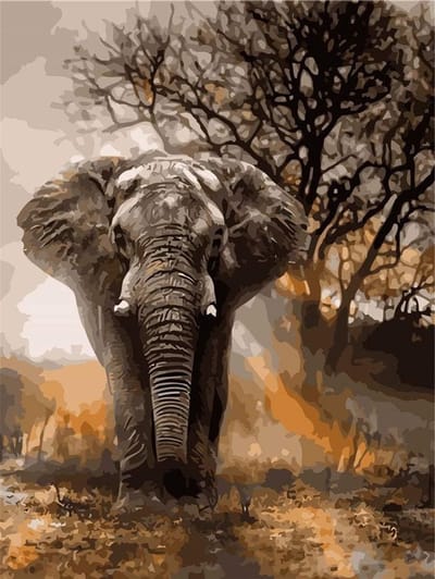 DIY Verf op Nummer Kits voor Afrikaanse Grasland Dieren, Olifant, 40 x 50 cm, Acryl Schilderen voor Beginners