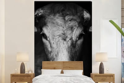 Behang - Fotobehang Dieren - Koe - Zwart - Wit - Koeienkop - Breedte 225 cm x hoogte 350 cm