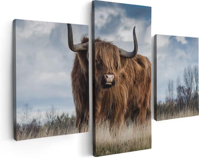 Artaza Canvas Schilderij Drieluik Schotse Hooglander Koe - Kleur - 90x60 - Foto Op Canvas - Canvas Print