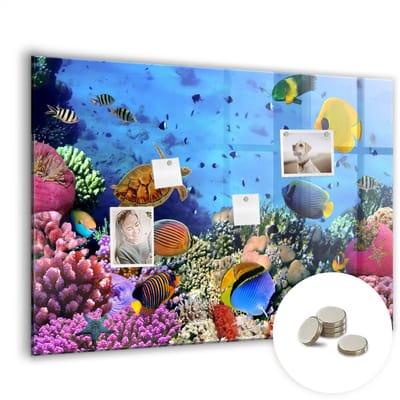 Tulup Glassboards - Onderwaterleven Magneetbord - 100 cm x 70 cm - Veelkleurig Memobord Keuken - Gratis 5 Sterke Magneten - Industrieel Wandbord - Memobord Magnetisch - Memo Bord - Inspiratiebord Kantoor - Foto Magneetbord