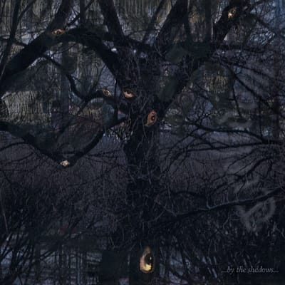 ...By The Shadows... - Trelldom