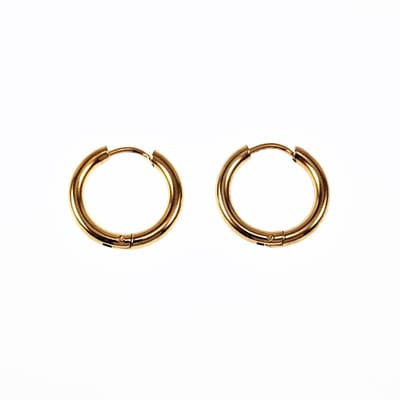 ∅12mm x 2,5mm Oorringen Unisex - Stalen Goudkleur - Ronde Oorbellen