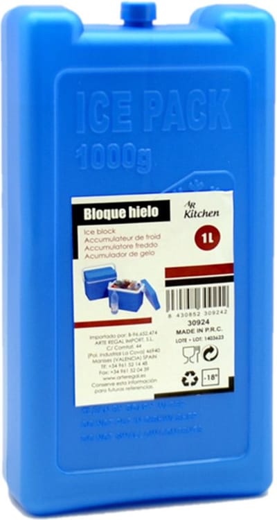 Arte R Koelelementen - groot blok - 1000 ml - 11 x 5 x 22 cm - blauw - voor koeltas en koelbox