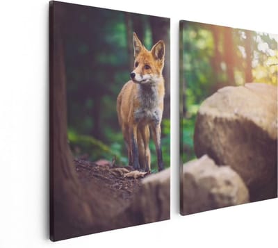 Artaza Canvas Schilderij Tweeluik Vos in het Bos bij Stenen - 80x60 - Foto Op Canvas - Canvas Print
