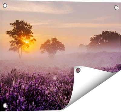 Gards Tuinposter Weide in de Veluwe bij Zonsondergang - 50x40 cm - Tuindoek - Tuindecoratie - Wanddecoratie buiten - Tuinschilderij