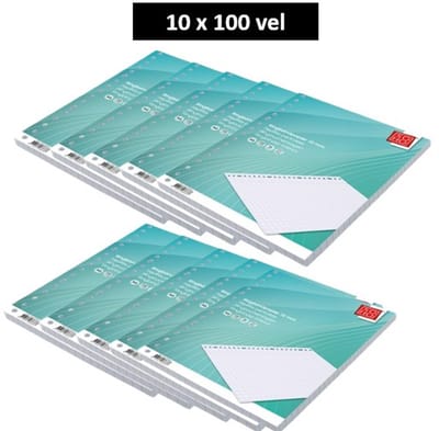 SOHO - Ringbandpapier A4 - 23rings - Geruit - 10x10mm - 70 gram - 10 x 100 Vellen