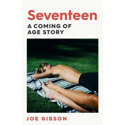 Seventeen - Joe Gibson