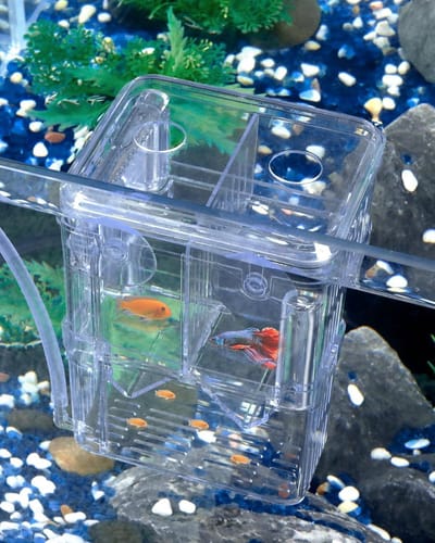 Aquarium Kweekbox van Transparant Plastic voor Vis, Garnalen en Kweekdoeleinden - Ideaal voor Aggressieve Vissen en Guppy's