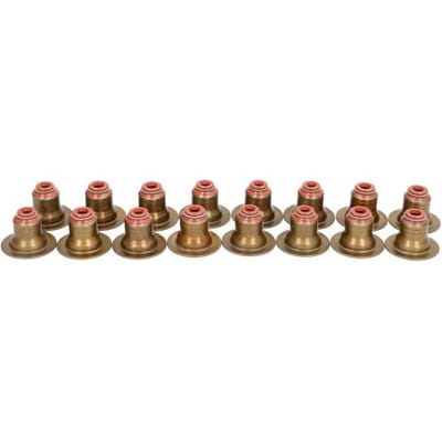 Victor Reinz Pakkingset, klepsteel REINZ 12-17509-01