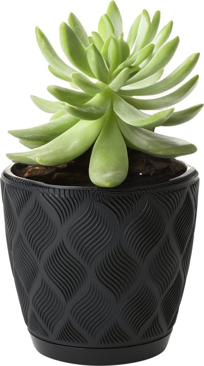 Form Plastic Plantenpot/bloempot New Age - kunststof - zwart - D27 x H24 cm - met opvang schotel - rond