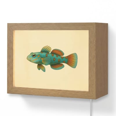 Wandlamp 20x15 cm - Oplaadbaar - Vis - Blauw - Stippen - Schubben - Wandlampen binnen woonkamer - Slaapkamer lamp met kabel - Decoratieve nachtlamp - Vloerlamp snoer