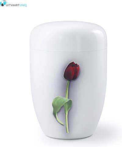Urn Rode tulp wit - staal